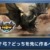 【モンハンNow】黒ディアイベント再開催決定！弓と防具どっちを先に作るべき？←こっち優先がいいぞ！【まとめ速報】