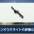 【モンハンNow】ジンオウガライトボウガン(王弩ライカン)は強い？弱い？【まとめ速報】