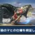 【モンハンNow】麻痺がサイレント仕様変更！？実際検証してみた結果！【まとめ速報】