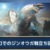 【モンハンNow】知っておきたい！ジンオウガ戦の開幕からの立ち回り方はこれ！【まとめ速報攻略】