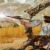 【モンハンワイルズ攻略】ぶっ壊れ武器！弓だけ明らかに火力や性能が強すぎるｗｗｗ【モンスターハンターMHWildsまとめ】