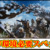 【モンハンワイルズ攻略】Steam(PC版)動作環境や必要なスペックや空き容量｜最低環境・推奨環境・高・ウルトラ設定【モンスターハンターMHWildsまとめ】