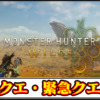 【モンハンワイルズ攻略】ハンターランク(HR)の上げ方と解放条件キークエ一覧と緊急クエスト【モンスターハンターMHWilds】