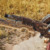【モンハンワイルズまとめ】ガンランスの放射型とかいう何もできない無能をすこれｗｗｗ【モンスターハンターMHWilds】